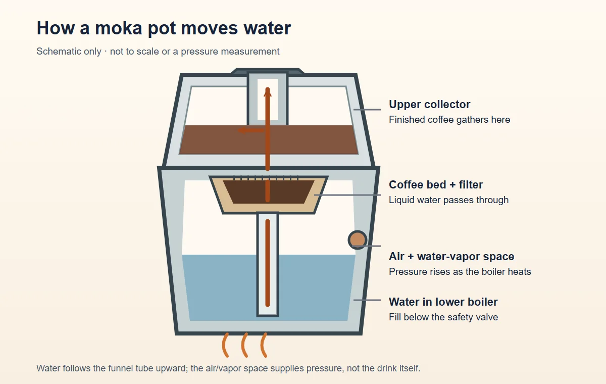 Diagram of liquid-water flow through a moka pot